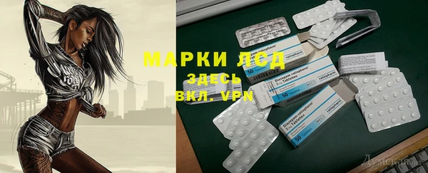 apvp Алексин