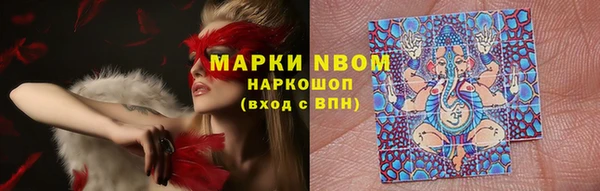 apvp Алексин