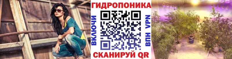 где купить Сураж mega как зайти Бошки Шишки семена